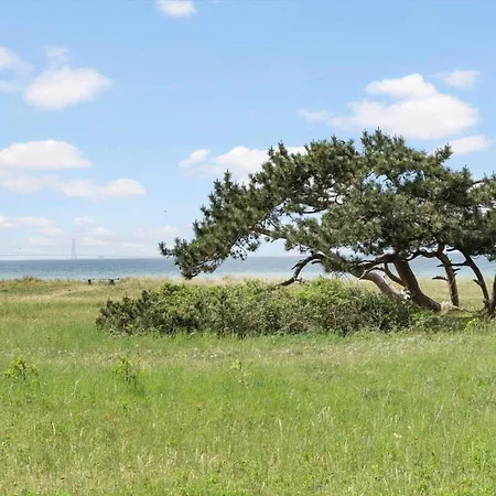 Sl319-slagelse-ranunkelvej-21 Hébergement de vacances *