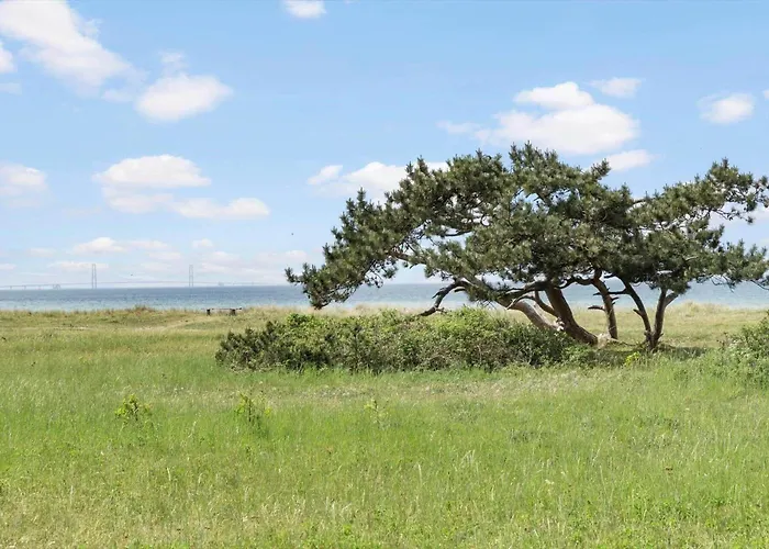 Sl319-slagelse-ranunkelvej-21 Vakantiehuis *